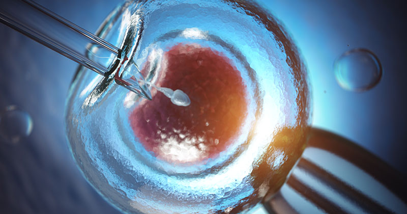 Età, fertilità e PMA