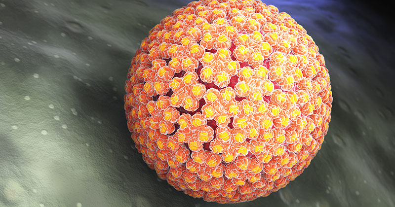 Prevenzione: l’infezione da Virus del papilloma umano o HPV