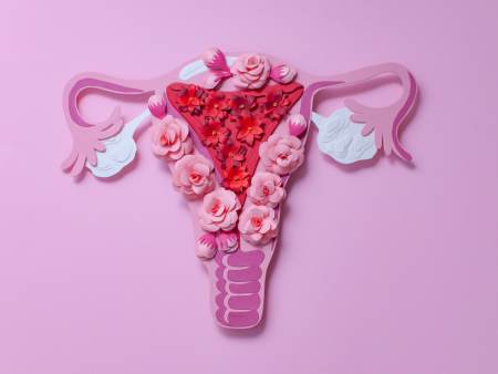 Il corpo luteo e la fase luteale